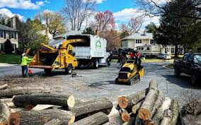 Best Lot and Land Clearing  in Dover, TN